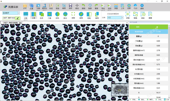 1757405968554223.png 掃描儀玉米籽粒分析.png