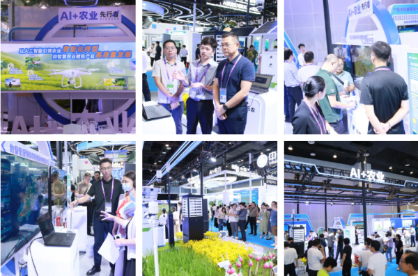 1758617767316273.png 圖片2_副本.png